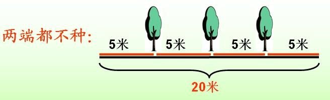 植树问题间隔单位带什么