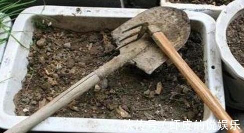 花盆里换下来的土能用吗,怎么正确再利用