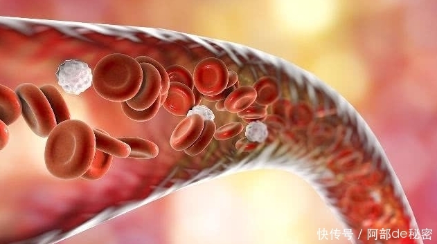 低下头|血管堵不堵低下头看“脚”,若没3种“情况”,你血管或许还不错