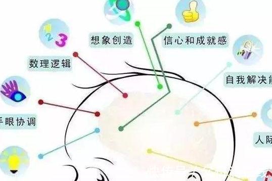 发育|研究显示:3岁娃大脑发育完成90%,辅食营养跟得上,宝宝更聪明