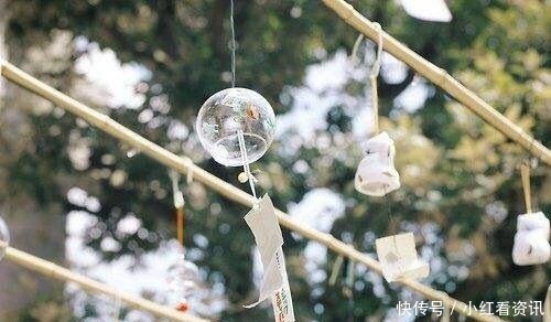 碎玉投珠|那些年惊艳了我们的小说结尾,“我在等风,等风热吻你”