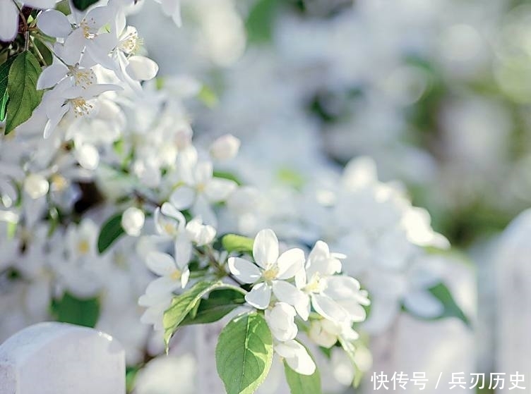 童话里的世界是个梦幻的地方,童话里的世界是个奇妙的地方!