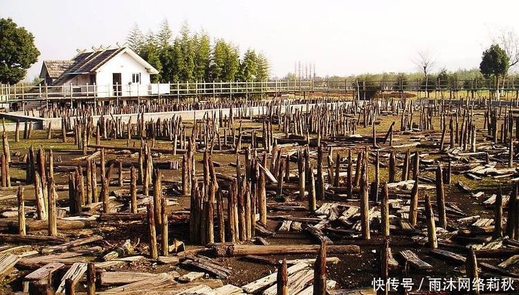 上门|河姆渡遗址发现神秘骨哨,只要吹响它,猎物会自动上门