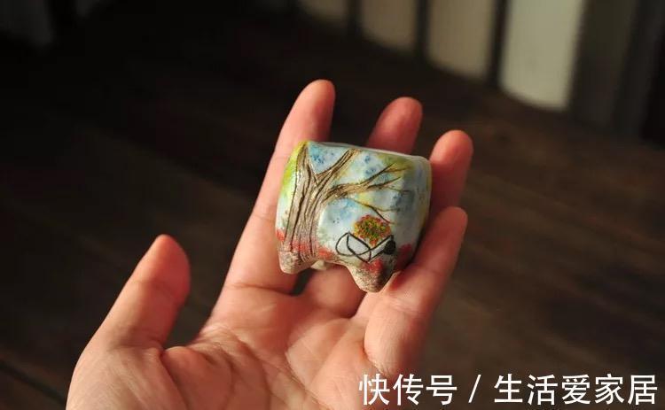 能把拇指多肉养活养好,那你离大神就不远了