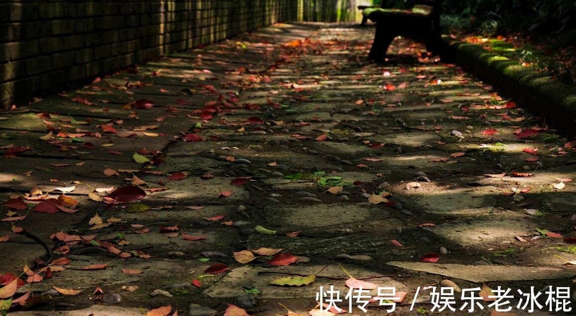 岁月&胡乱抓一把秋,洒向那匆匆岁月长河