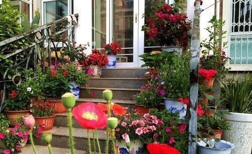 为了养花种菜,奶奶花160万买了郊区的别墅,3年之后,后悔了