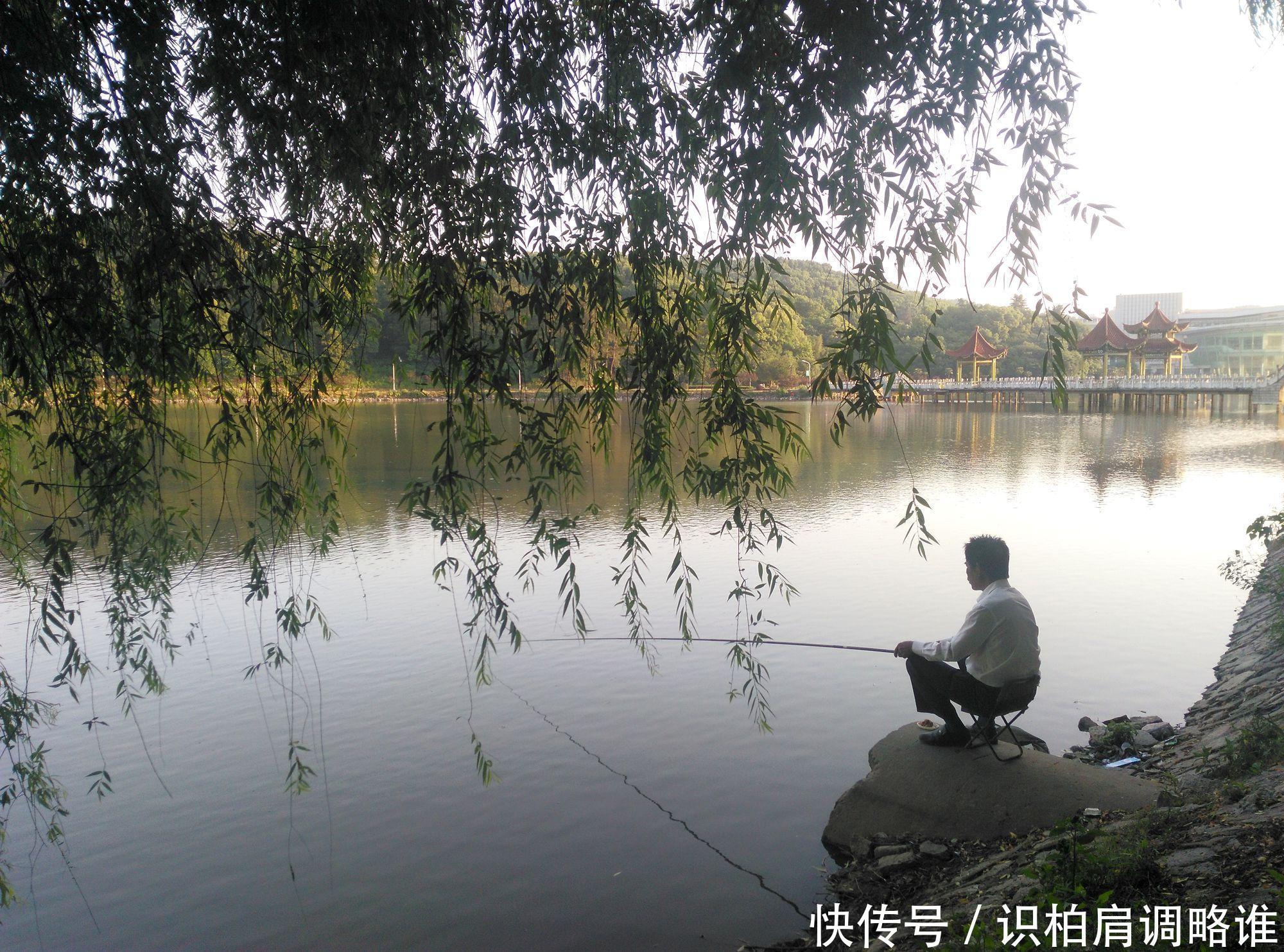 谷雨一到，用饵做到这三点，能钓大鱼，小鱼还不闹窝