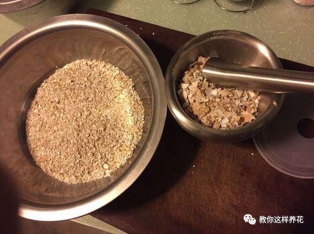 4种“壳”每家都有,丢盆里疏松透气,2年不用换盆,长得旺!