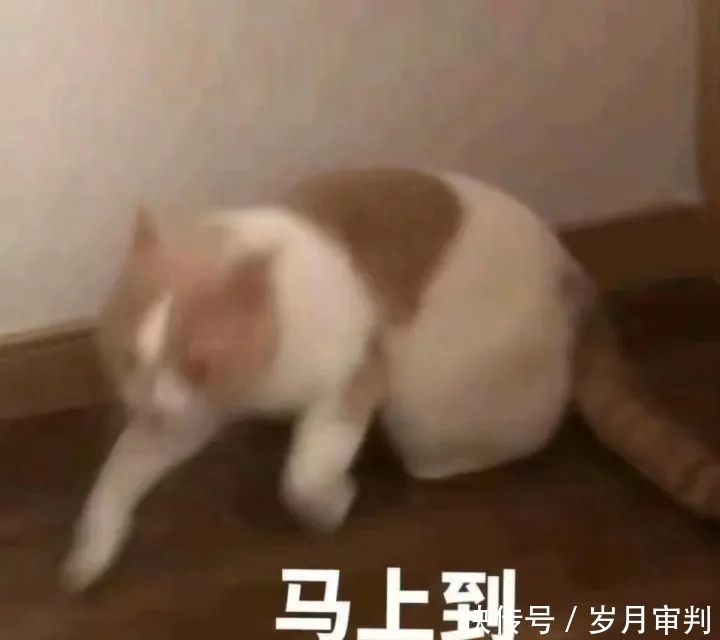 这20支春夏口红太绝了!显白有气质,谁涂谁美炸