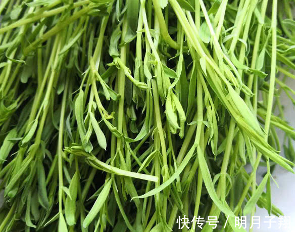 羡慕别人瘦,不妨多吃此菜,降火清肠排宿便,越来越瘦,小肚平坦