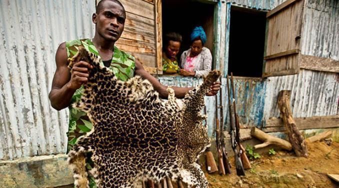 |“当客服混入了段子手”画风也带跑偏了哈哈哈哈