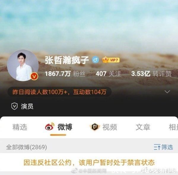 中网工委|中网工委就张哲瀚事件发声:对张哲瀚帐号处理不应止于禁言