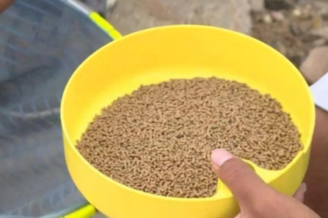 打完窝后,半天都没鱼咬钩?二十年老司机道破真相,后悔才晓得