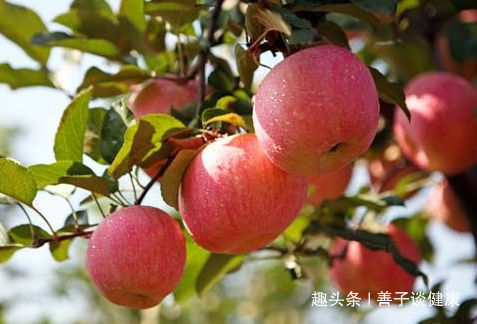 艾叶|子宫“最爱”三种食物,女人常吃点,子宫肌瘤不敢“靠近”