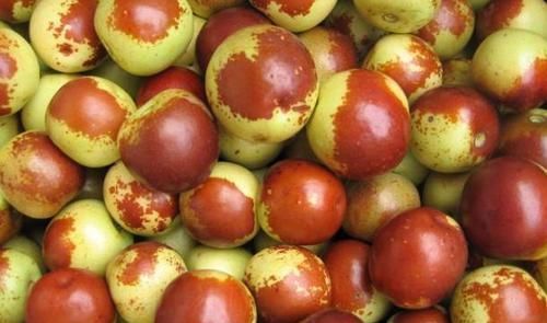 健脾祛湿|湿气重痰多口臭湿气“3大克星”找到了,轮着吃健脾祛湿一身轻