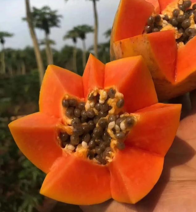 瓜汁|水桶腰、大肚腩好难看5种食物堪比“刮油机”,营养高还热量低