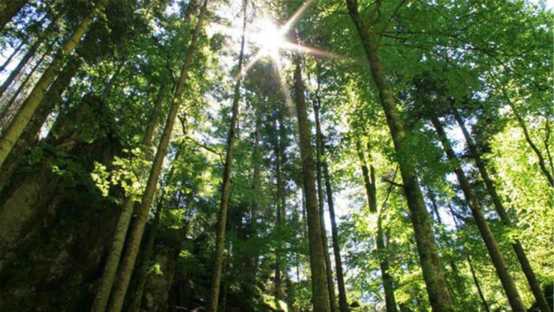 拍案叫绝|《全宋词》里最狂一首词,每一句都很狂,读来也是令人拍案叫绝