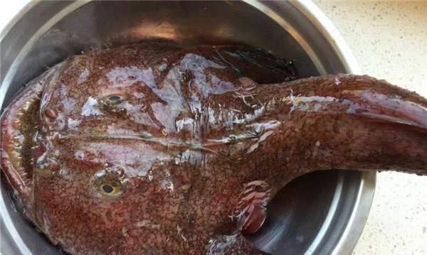 3种因颜值劝退吃货的鱼,营养价值极高,第2种市场上卖的没脑袋