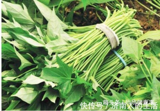 危害|番薯叶百利但有二害,危害极大,很多人还不清楚,早知早受益