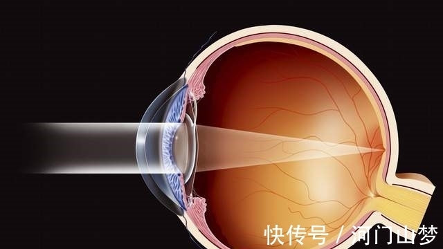 辩证法$阿多诺对黑格尔哲学激烈批判,背后的本质原因是什么?