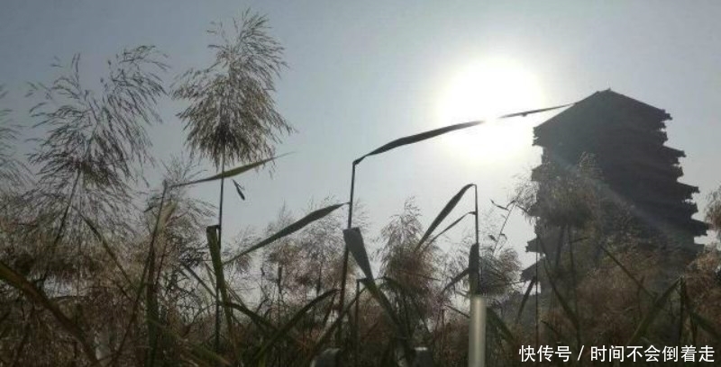 唐多令|刘过最经典的一首词，通篇描写得生动有趣，更是成为千古名篇！