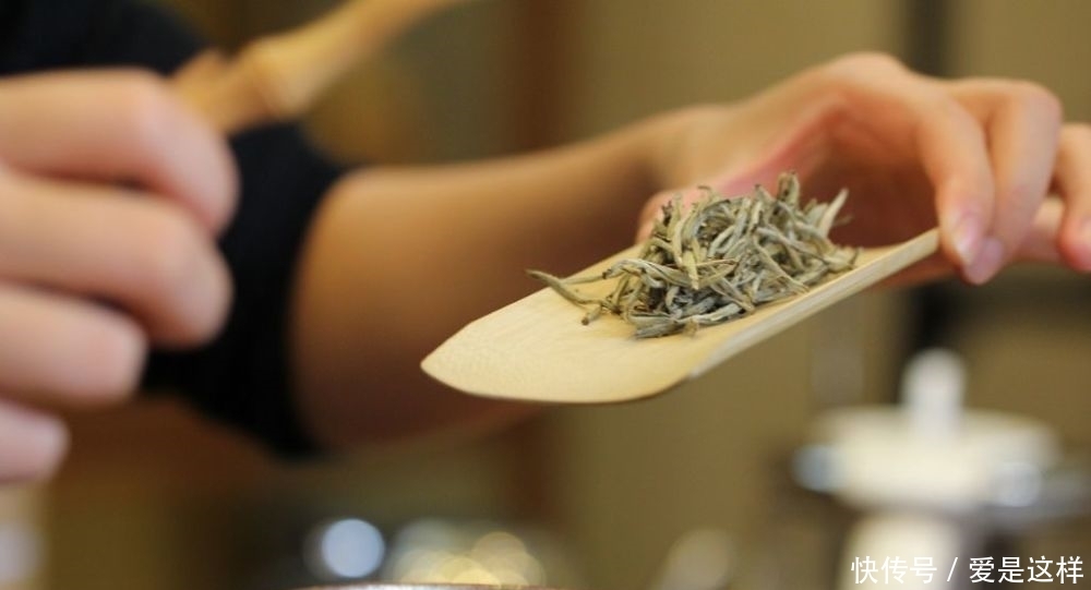 茶温|天冷茶温，暖茶暖心