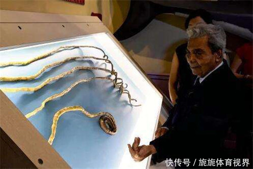 手指|印度老人66年没剪指甲,将指甲捐博物馆后,不料手指却有了新变化