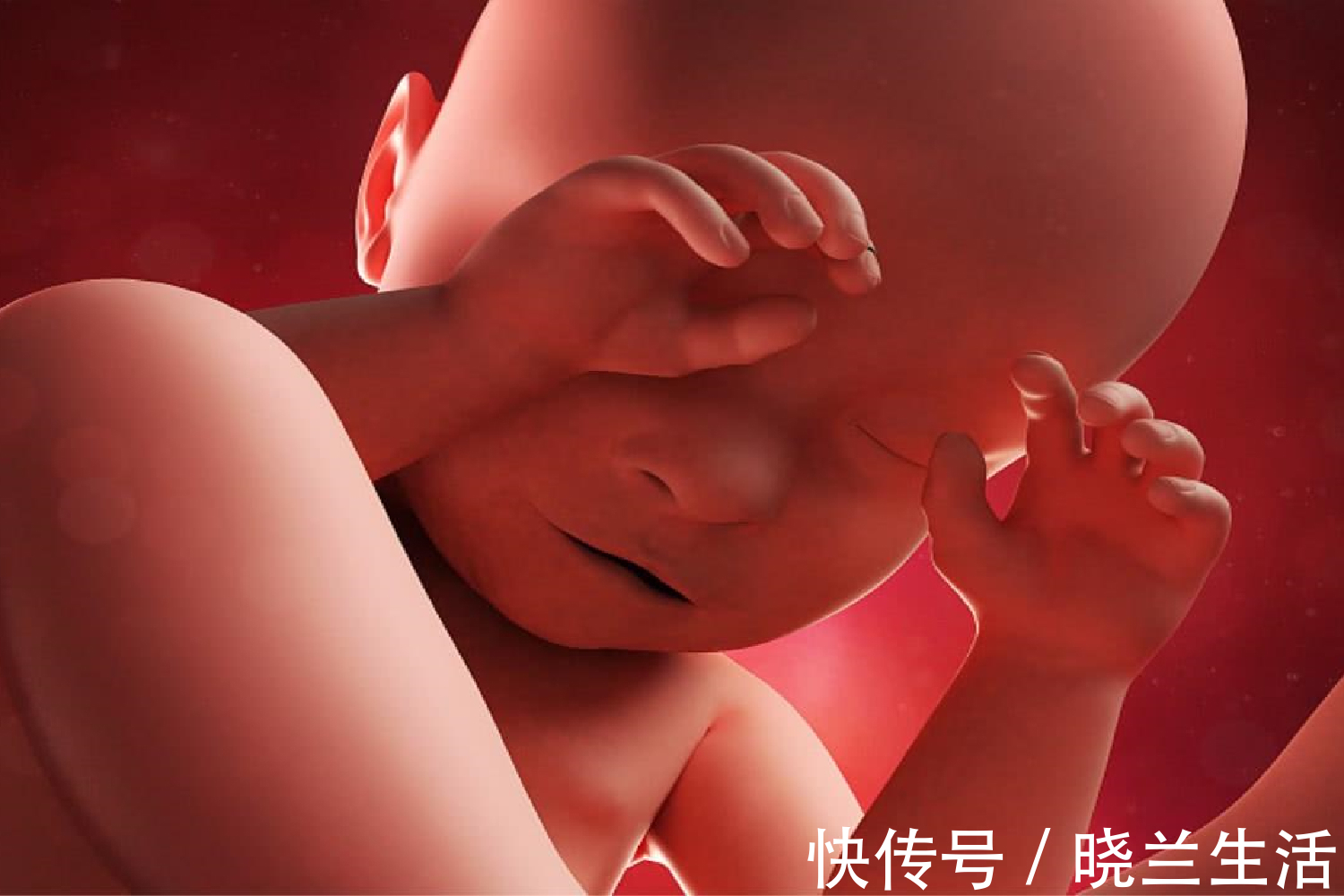 发育|胎儿什么时候长最快合理控制体重,孩子大脑发育好更健康