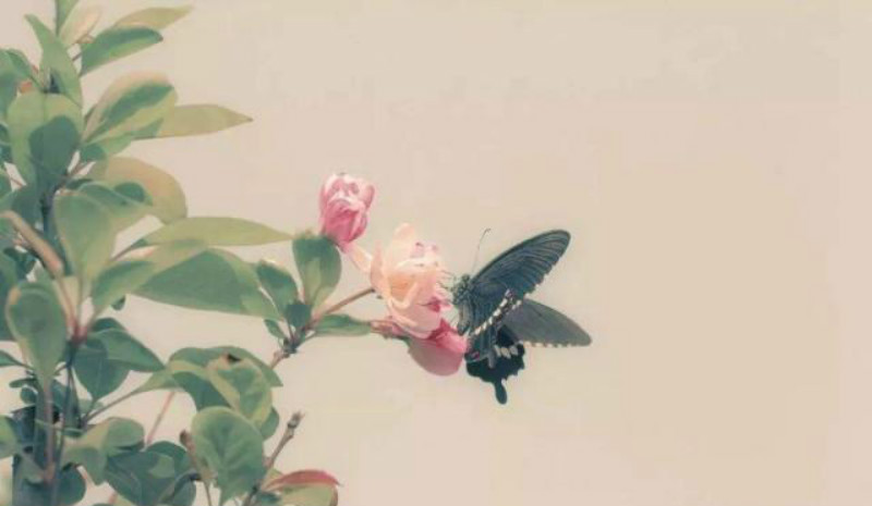 苏轼$柳永最经典的一首词,连苏轼读了都赞叹,成为千古名篇无人能超越