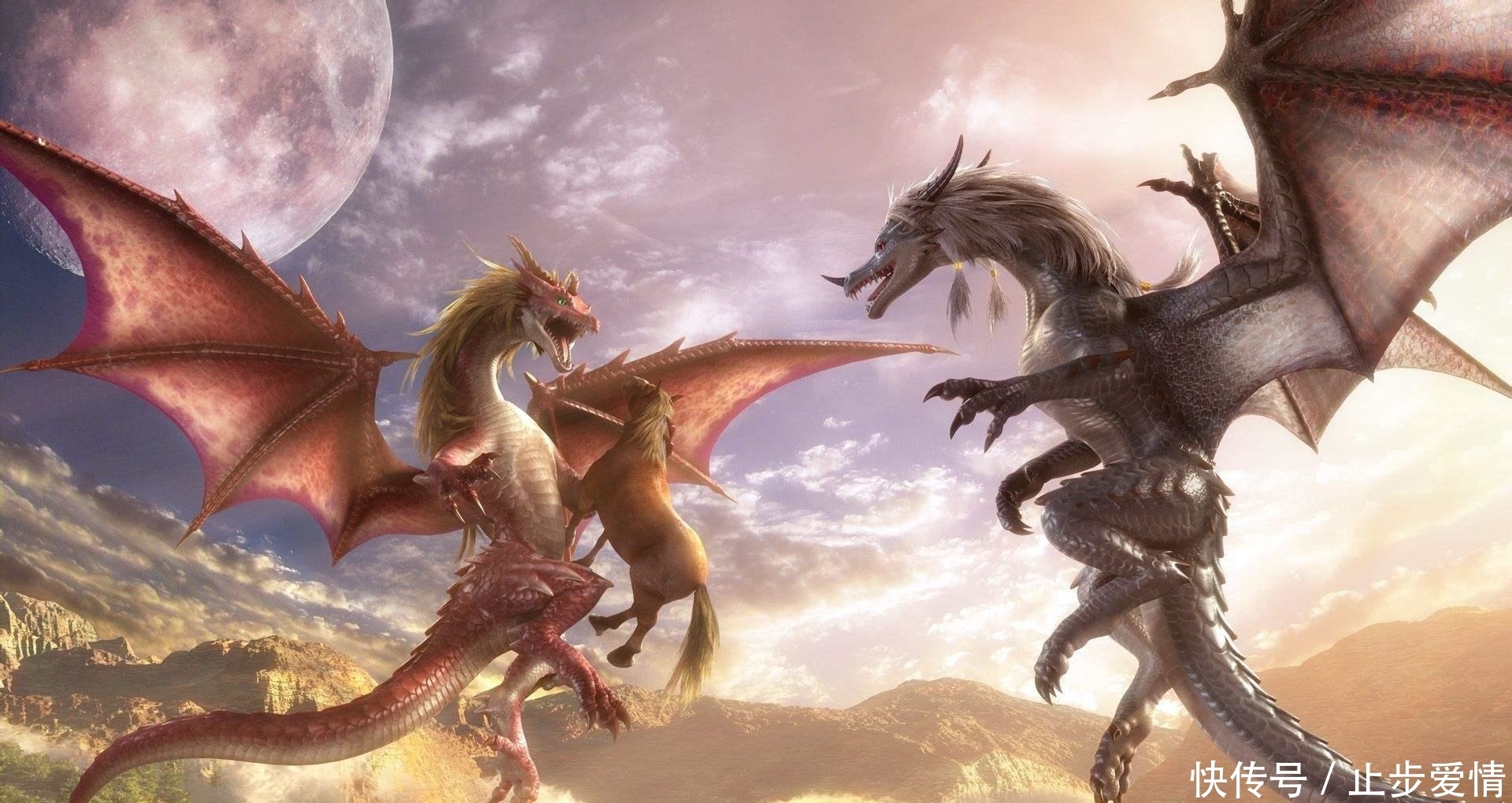 终极|终极斗罗25册:蓝轩宇迷之旅途寻找斗罗的影子,斩龙刀重出江湖?