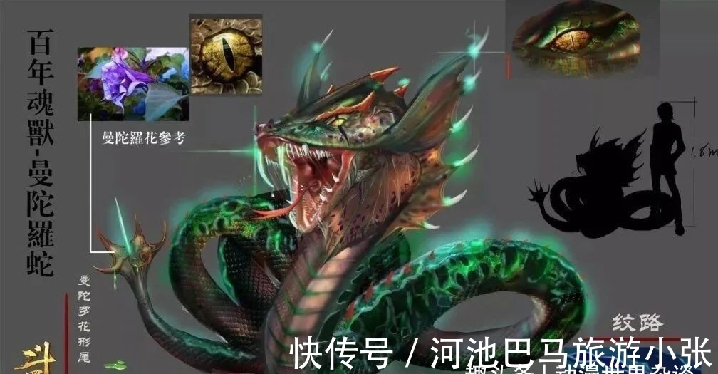 斗罗大陆|斗罗大陆：魂环年限只是修为？最初的一条小蛇明确答案