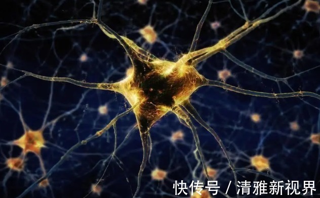 人体健康|寿命长不是多睡觉,也不是多走路,而是坚持这3件事,健康又长寿