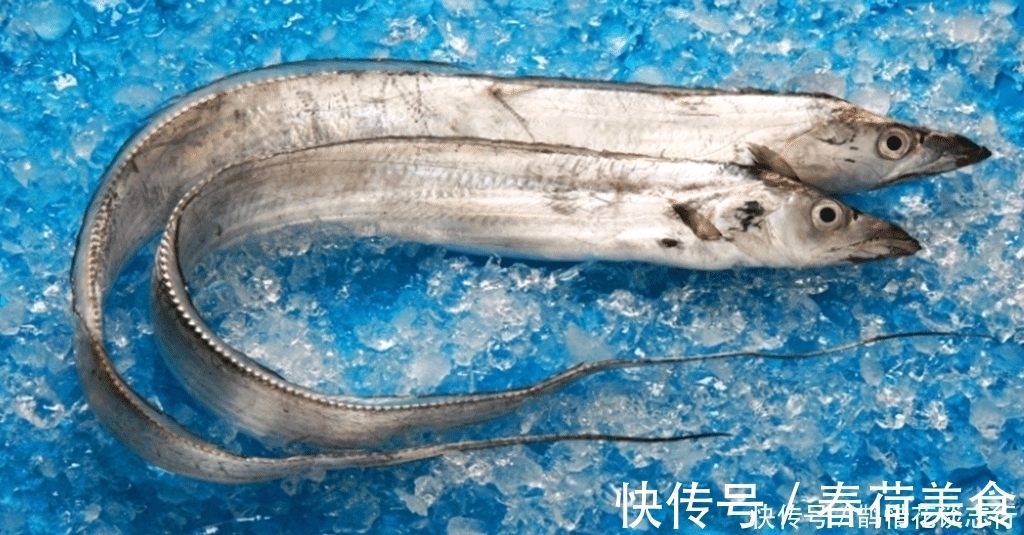 生活环境|海鲜摊位上这几种鱼是没有养殖的, 海鲜老板不一定告诉你!