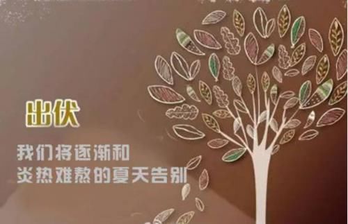 一个月|出伏了！接下来一个月黄金养生期，记好7个一，滋补身体更健康