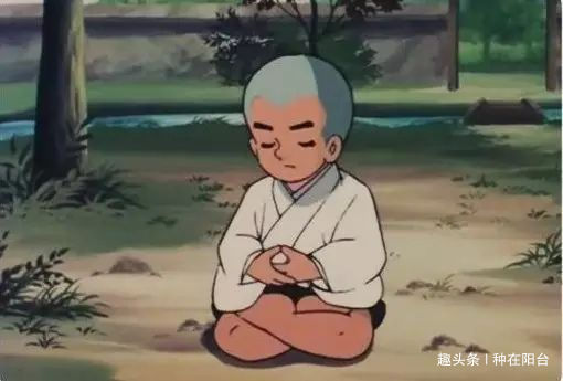 零成本将90地球植物种在阳台上 ,台长教你水陆两栖扦插法