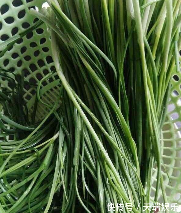 口臭|晚上吃它等于吃天然泻药,隔天就排宿便,口臭和失眠都没了还减肥