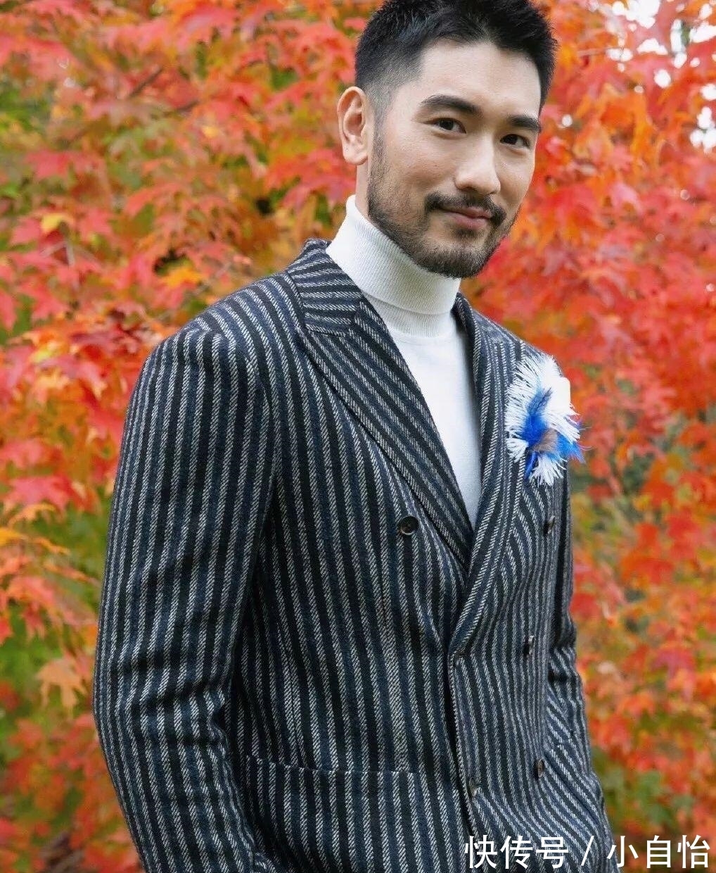 张杰|浙江卫视嘉宾再出事!高以翔昏迷,张杰缺氧晕倒,释小龙助理溺亡