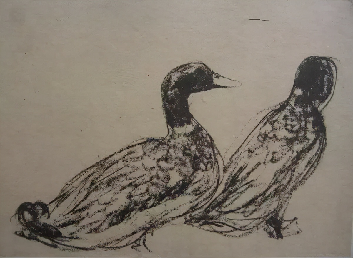 画稿!吴作人吴老先生画稿