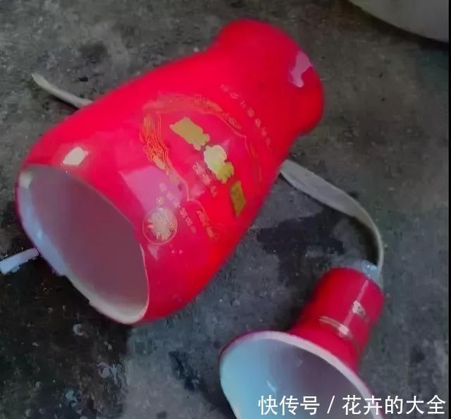 自制|在家用这4种东西自制花盆,简单方便还好看!透气性高养花好