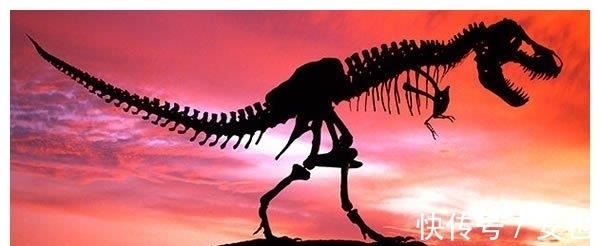 硫磺|恐龙灭绝的真正凶手找到了：小行星碰撞只是个导火索