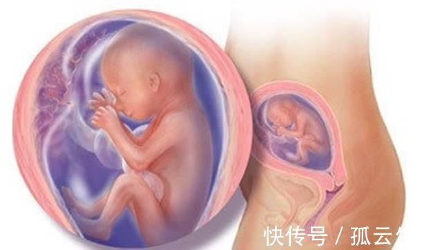 地方|育儿说:怀孕7个月宝宝是在什么位置的?从这些地方能够看出来