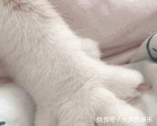 红茶色|别被网红忽悠了,这才是MAC人气最高的5支口红,每一支都巨显白