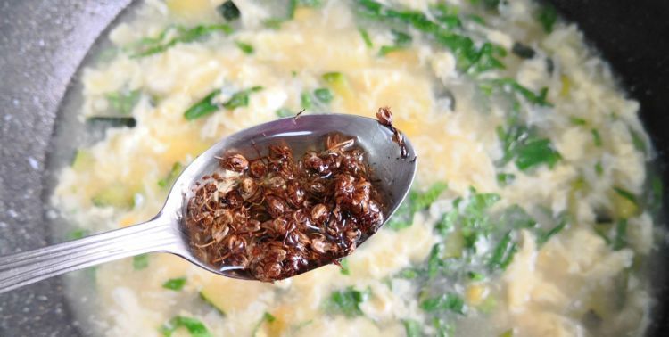 均匀|做了几十年的疙瘩汤,才知道个办法颗粒均匀,口感也更好