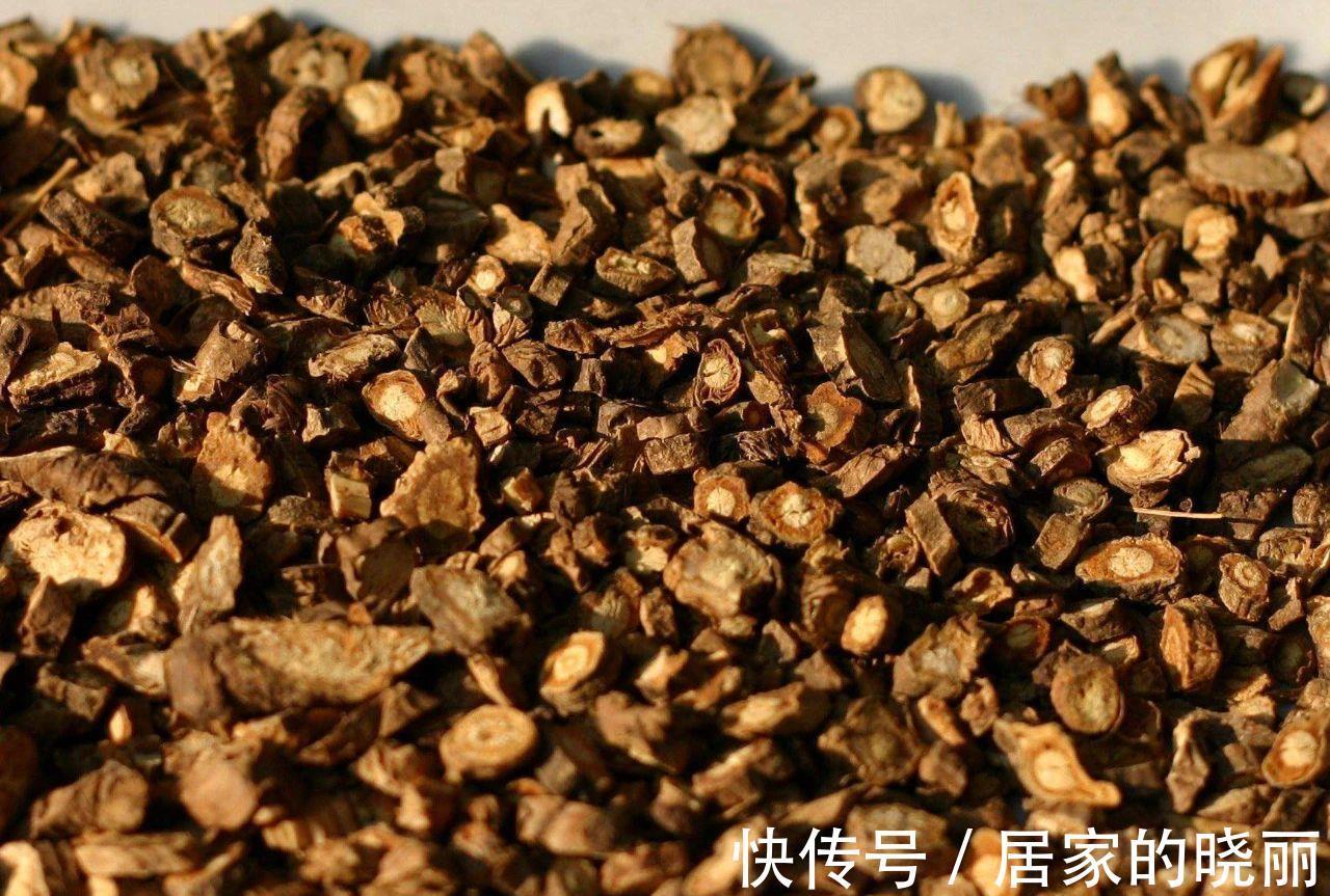 破伤风症|这种北方植物的根能治破伤风症，是“治风之通用药”，你认识吗
