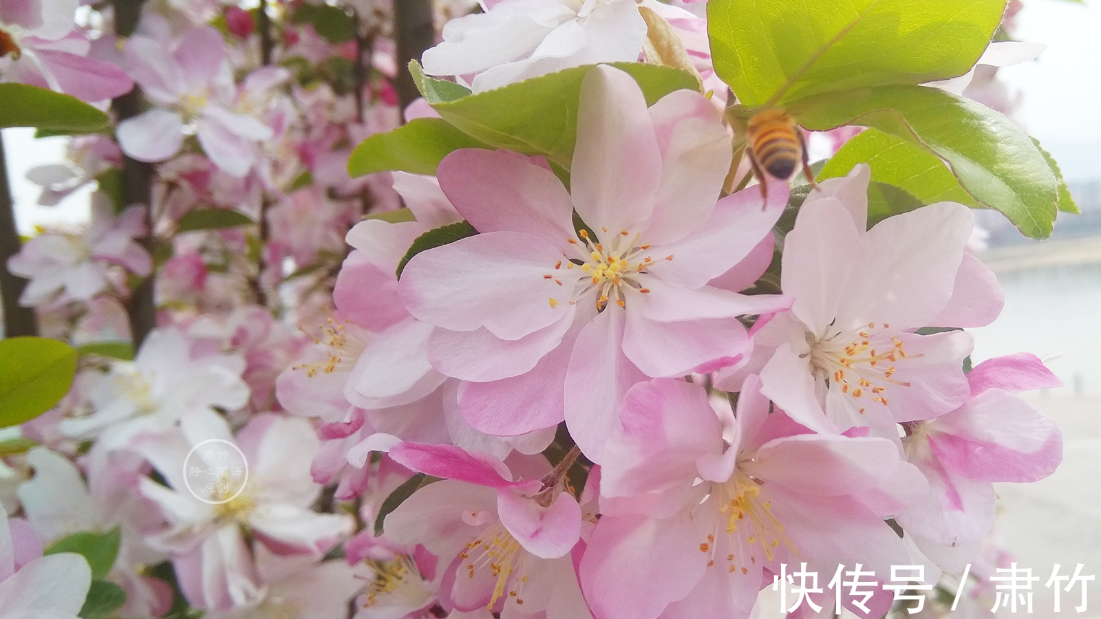 长度|生命长度有限，别在无聊中荒废