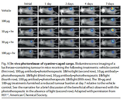 delivery|癌症治疗新尝试!