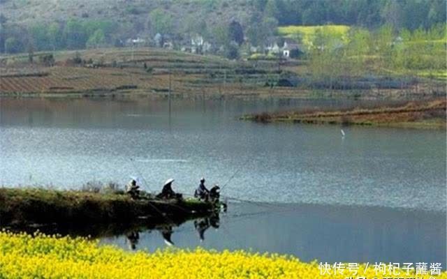 惊蛰到,鱼儿跳!仲春三月鱼应该这样钓,注意变化之中找规律