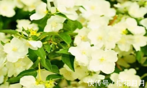 身体|女性害怕老太快,可以多吃3种食物,营养丰富,滋润身体!