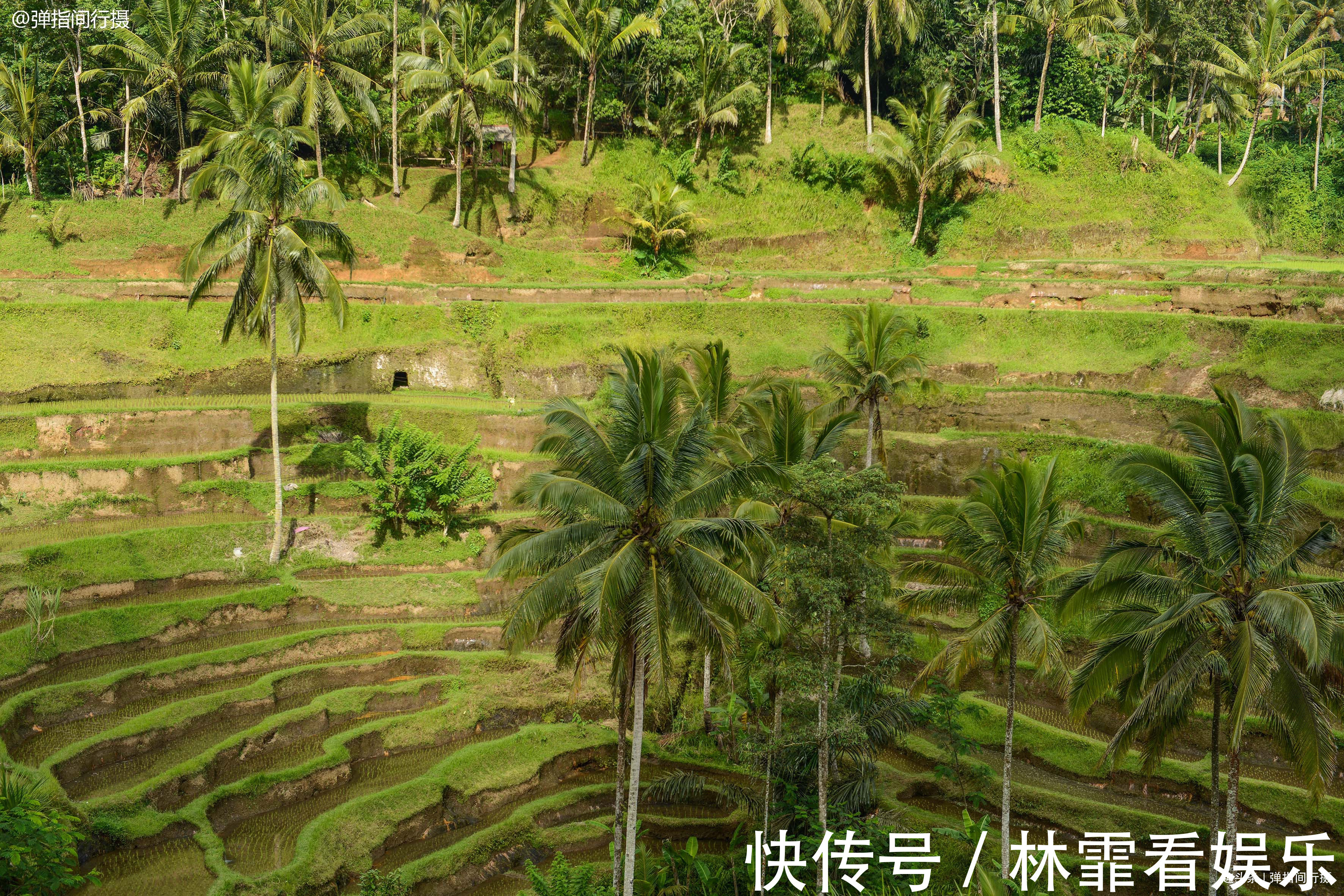 耕地|巴厘岛农田告急，当地举办“稻草人节”捍卫耕地，反成旅游增长点