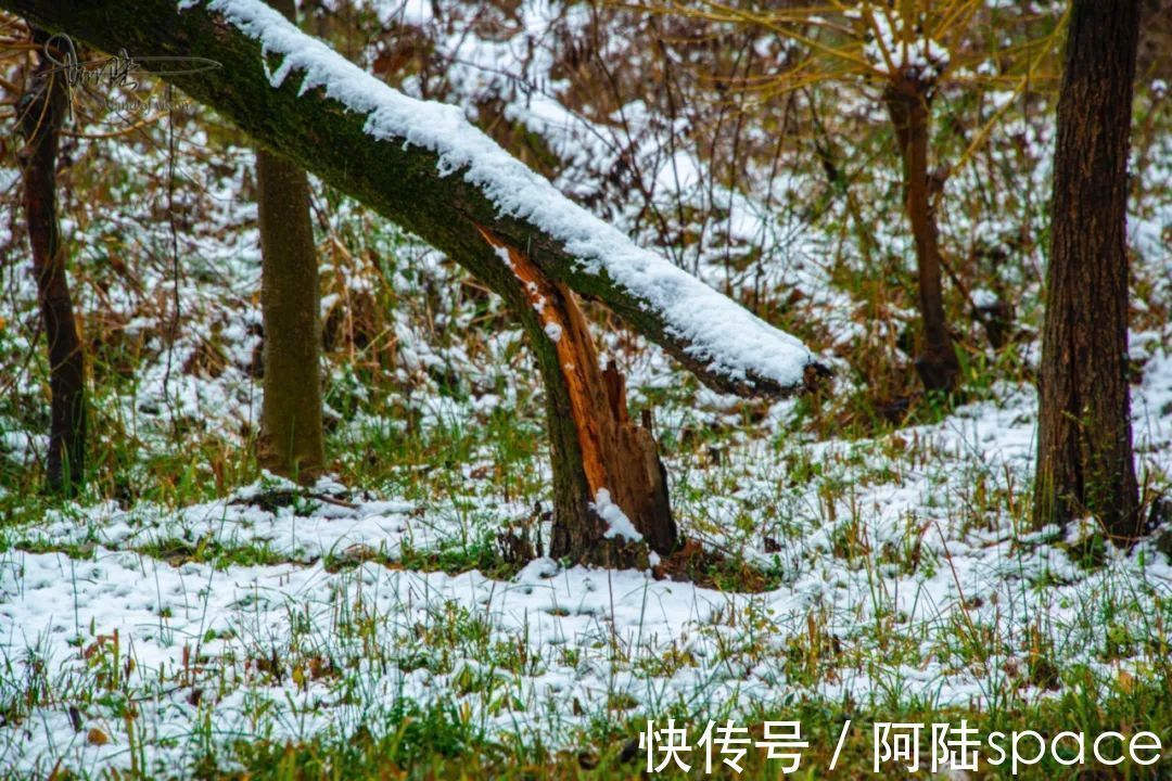 耳听八方|在雨雪天气游玩西溪湿地,风景很美但也要当心这些地方